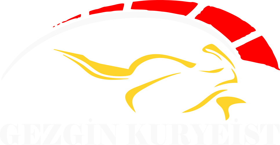 Gezgin Kurye İST